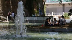 Unos jóvenes se reúnen bajo la sombra de un árbol en el parque de la España Industrial en Barcelona.
