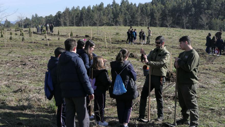 Un agente forestal explicando a los alumnos del colegio Filipense cómo realizar la plantación.