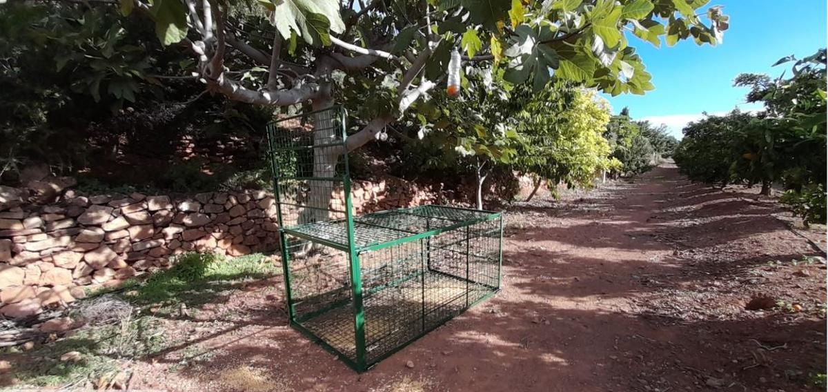 Una jaula entre los campos.