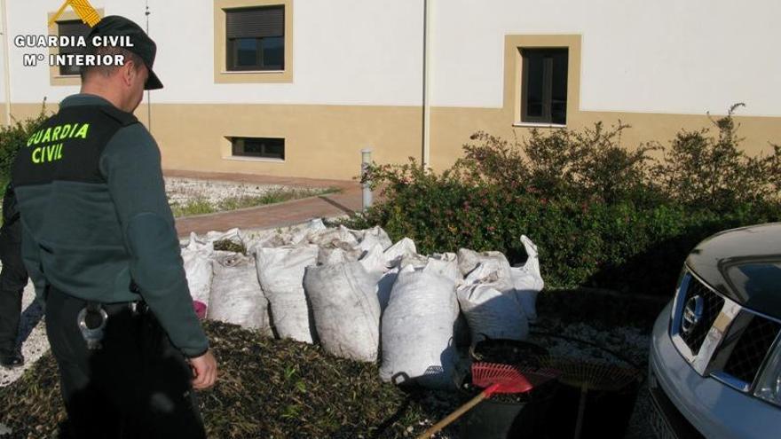 La Guardia Civil esclarece tres hurtos cometidos en explotaciones agrícolas y ganaderas