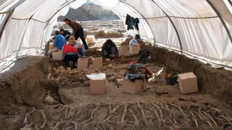 Arqueólogos y voluntarios, durante la etapa de excavación del recinto.