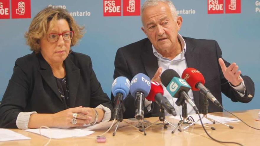 Carmen Gallego y José Luis Méndez, en un reciente acto de partido en Santiago. // Xoán Álvarez