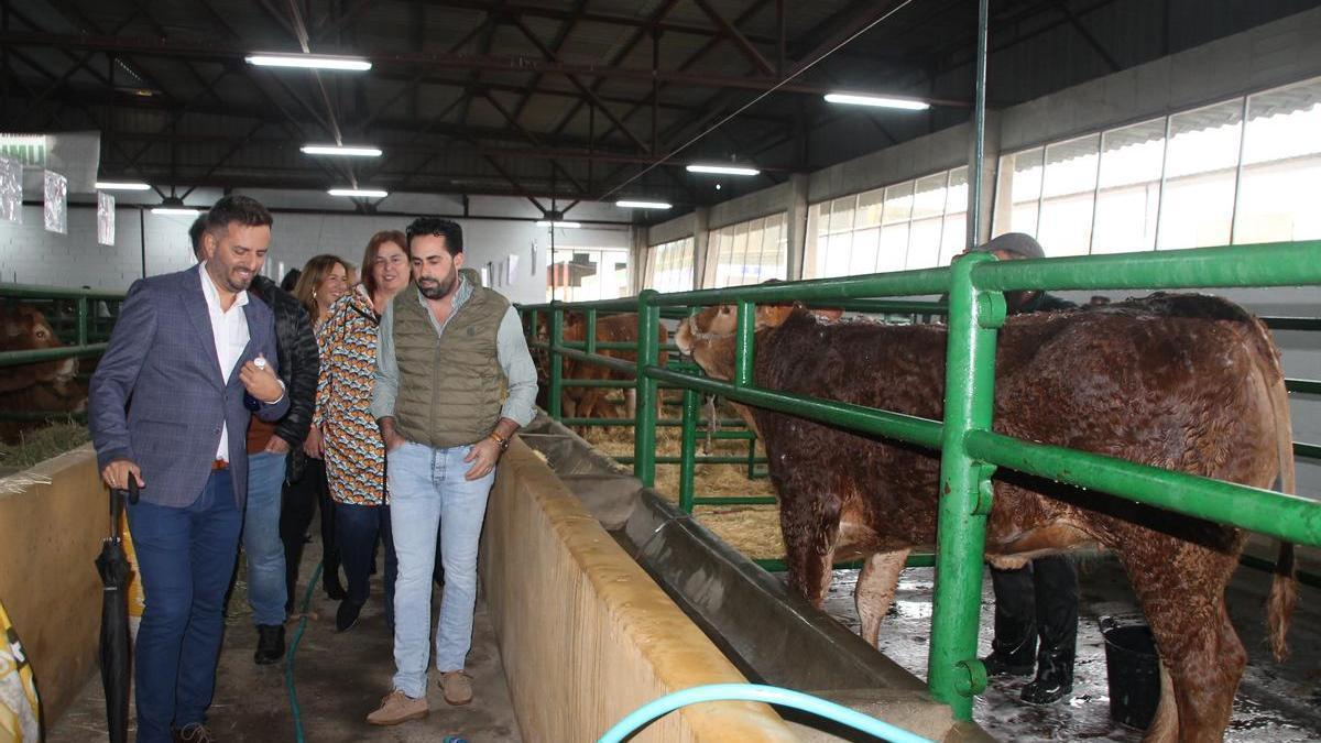 El presidente del comité ejecutivo, Enrique Borrega, recorre la nave de limusín en la pasada edición de la feria.