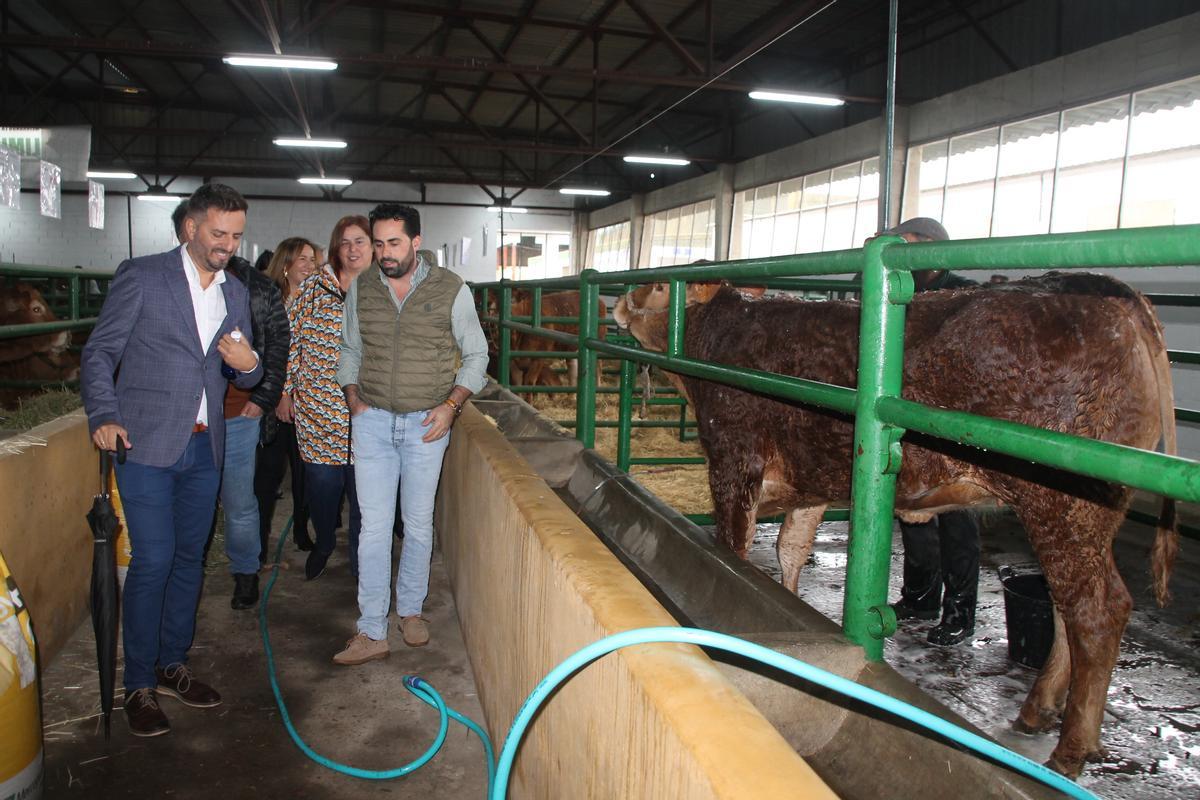 El presidente del comité ejecutivo, Enrique Borrega, recorre la nave de limusín en la pasada edición de la feria.