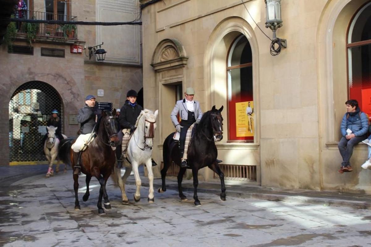 Tres dels cavalls participants