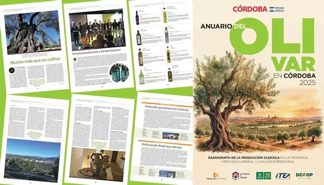 ‘El cultivo del olivar en Córdoba 2025’: aquí puedes leer todos los contenidos del anuario de Diario CÓRDOBA