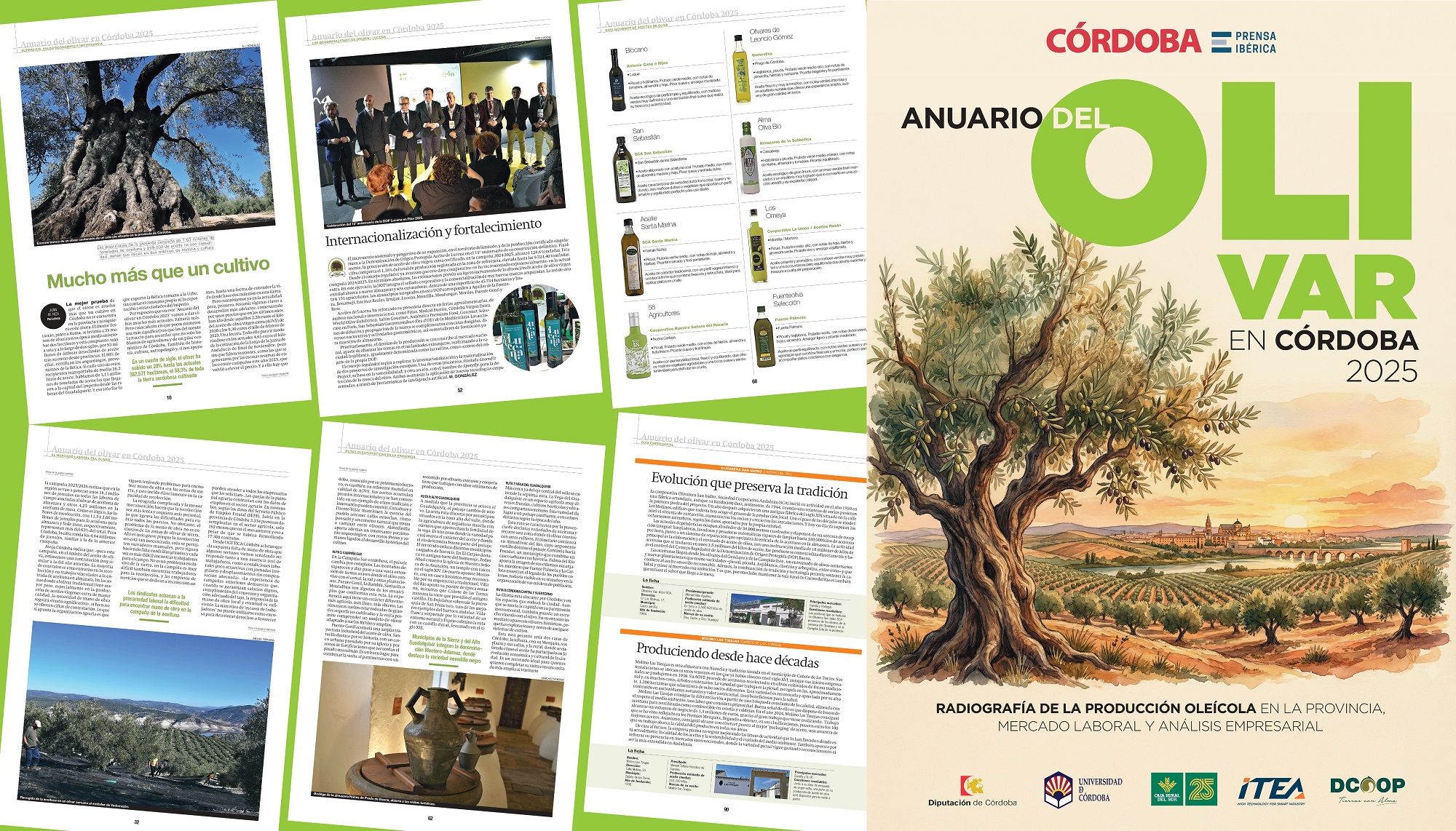 Portada y páginas interiores de la publicación.