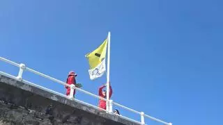 Alerta en Gijón: las primeras medusas llegan a la playa de San Lorenzo