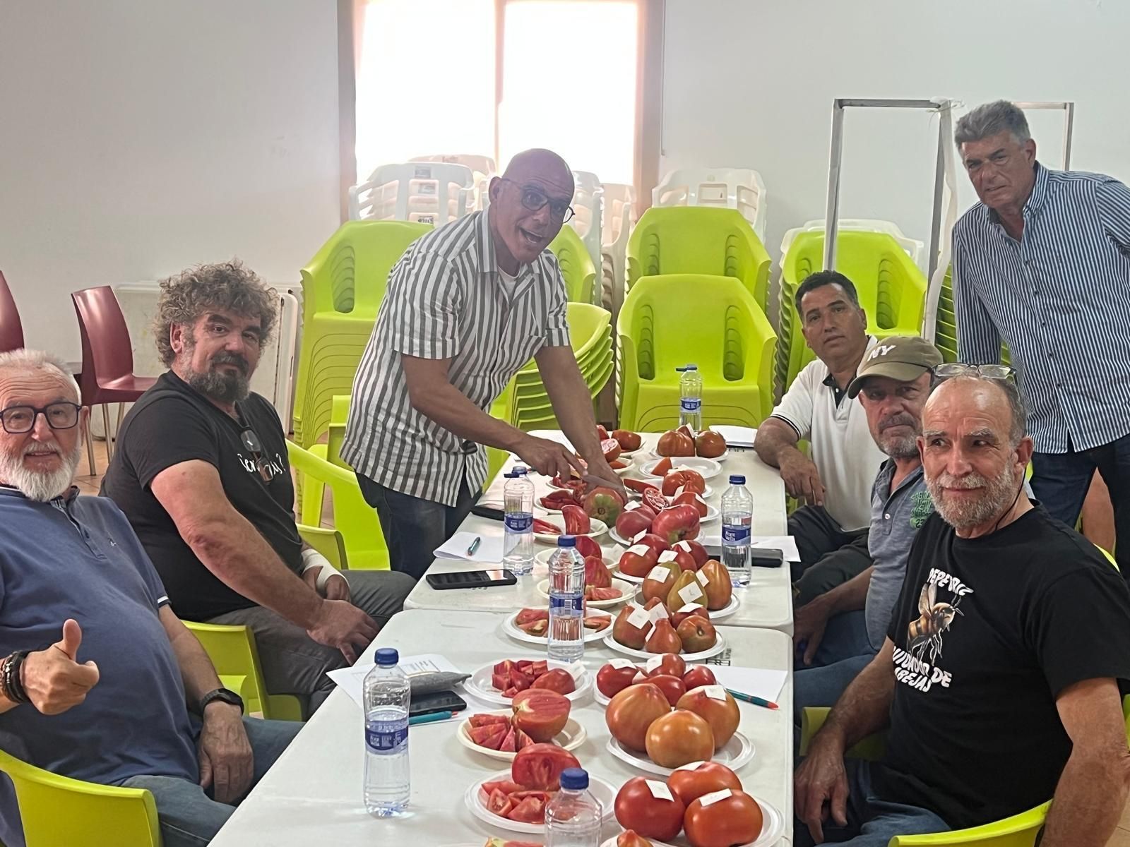 El concurso hortícola premia a los mejores productores de tomates.