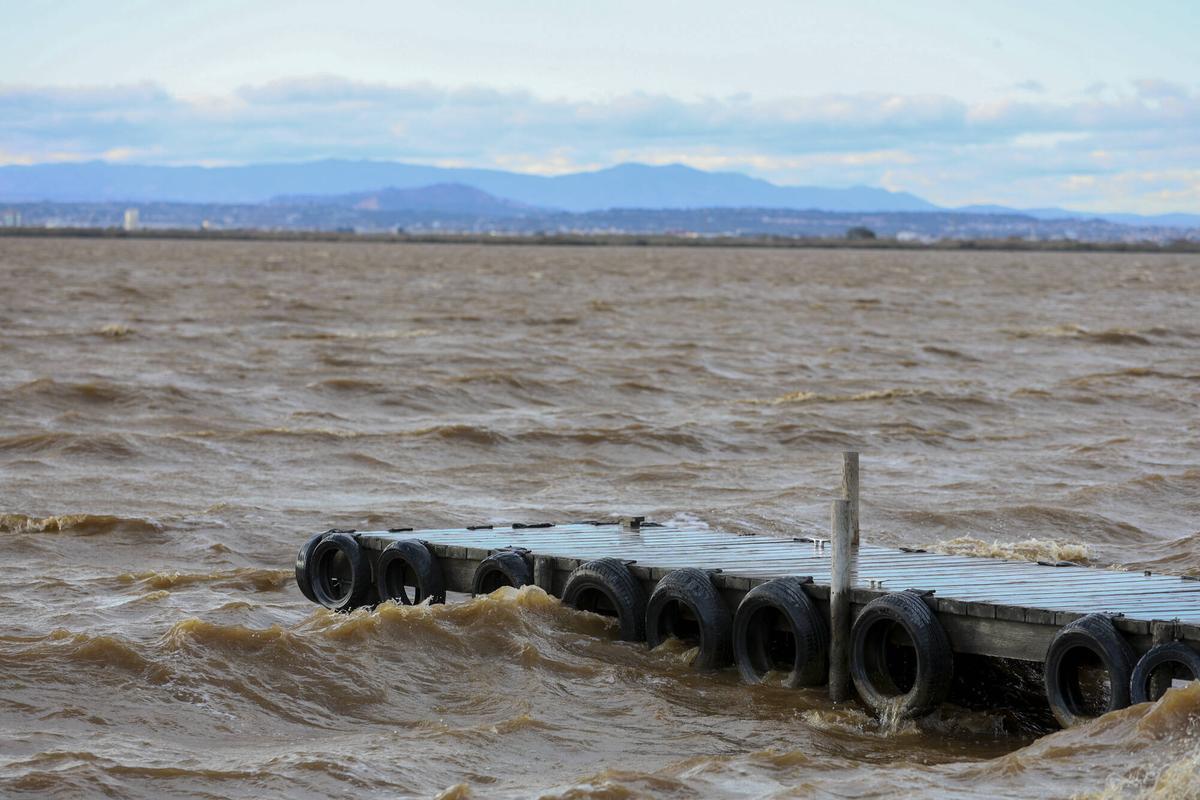 El lago de l'Albufera, de color marrón estos días por la degradación de las algas