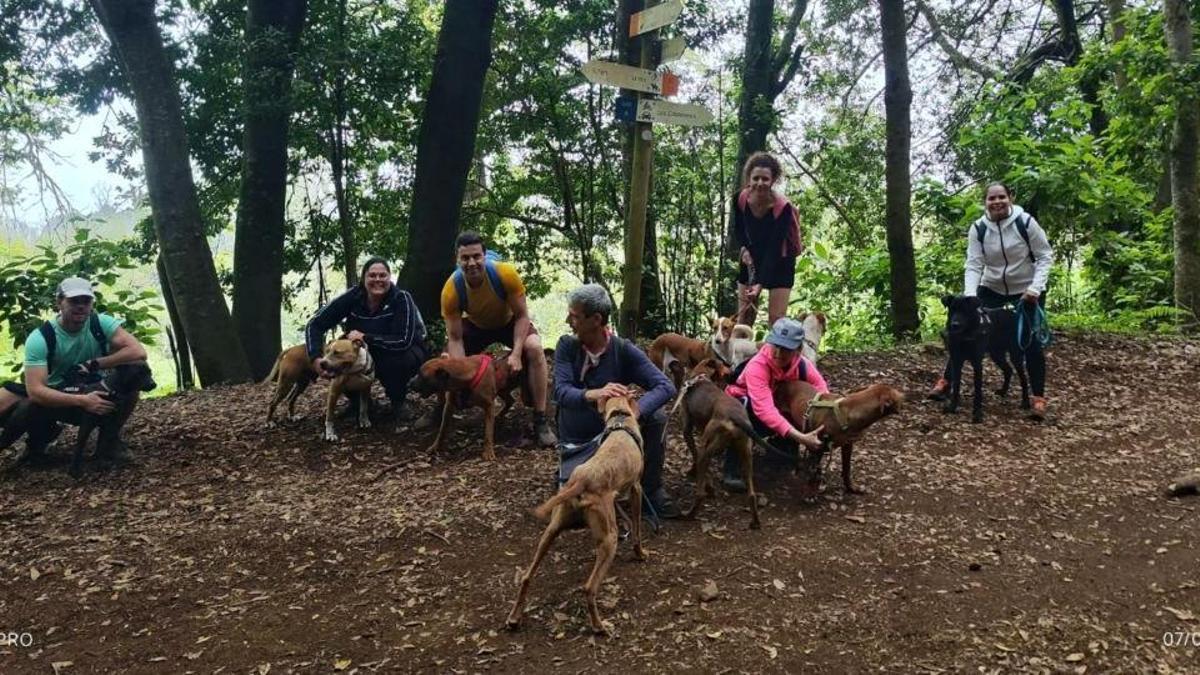 Personal y voluntarios de Adepac con algunos de los perros que cuidan en el refugio de El Ravelo.