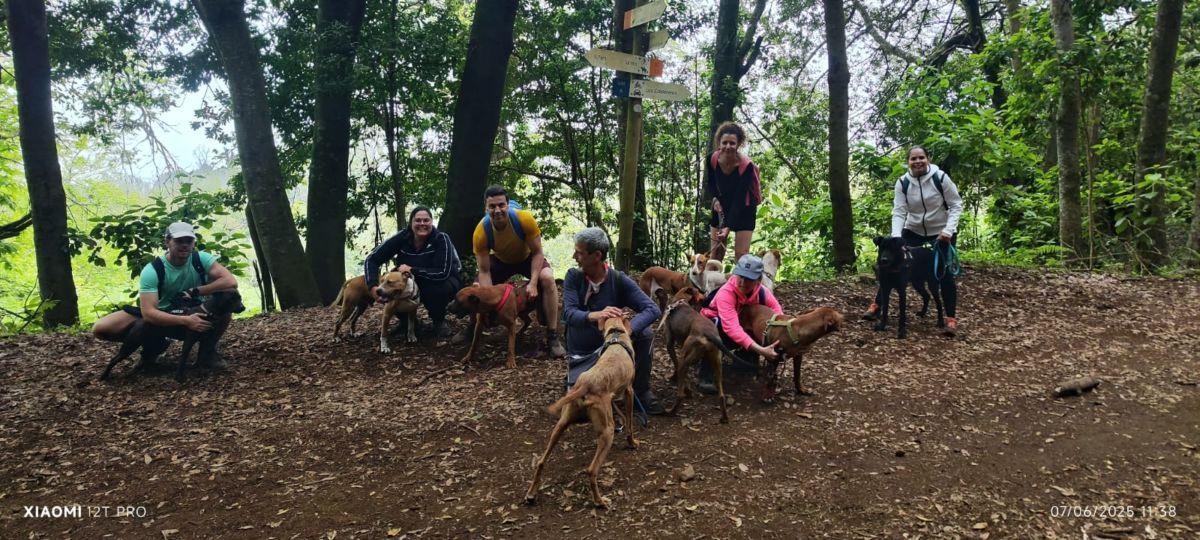 Personal y voluntarios de Adepac con algunos de los perros que cuidan en el refugio de El Ravelo.