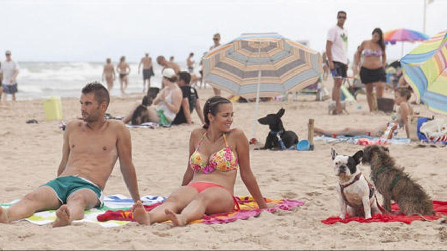 Las mejores playas para perros en la C. Valenciana