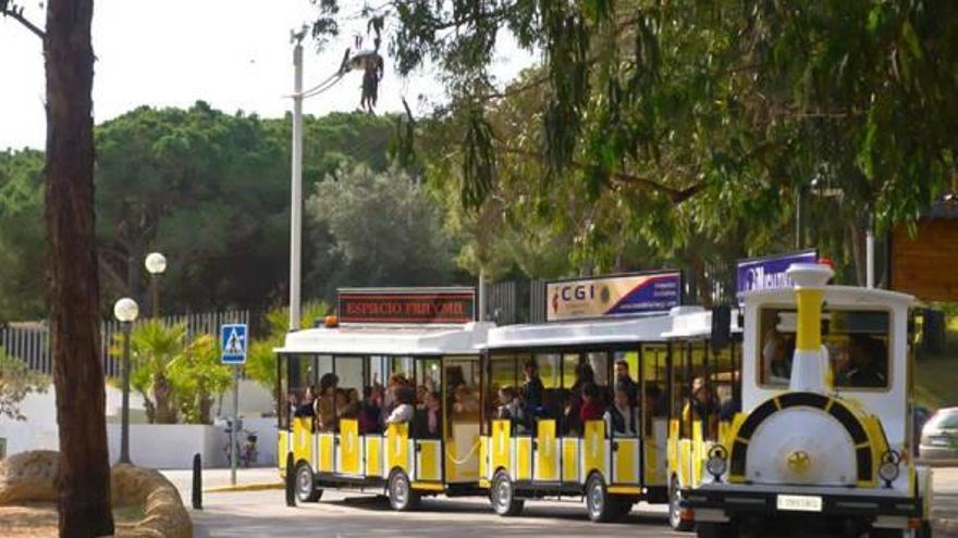 El «Trenet Turístico» vuelve a Guardamar