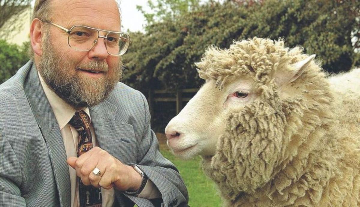 El científico que clonó la oveja Dolly, Ian Willmut, con su creación.