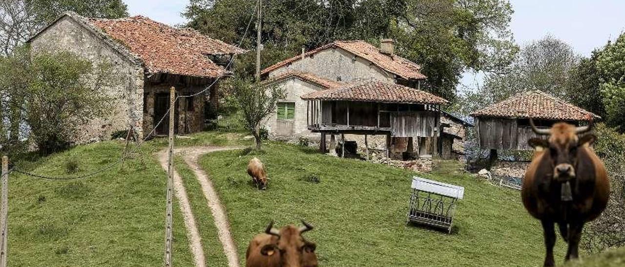 Casas deshabitadas en Rozaflor (Illas).