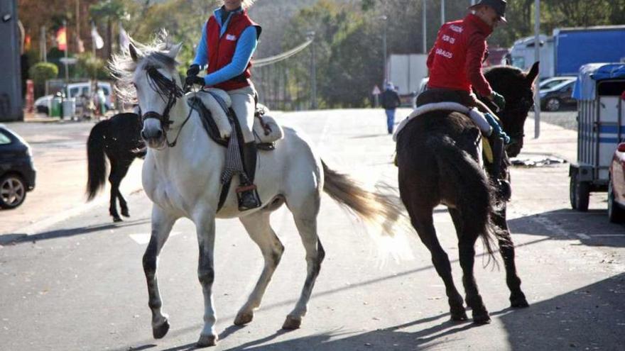 Bernabé/Luismy