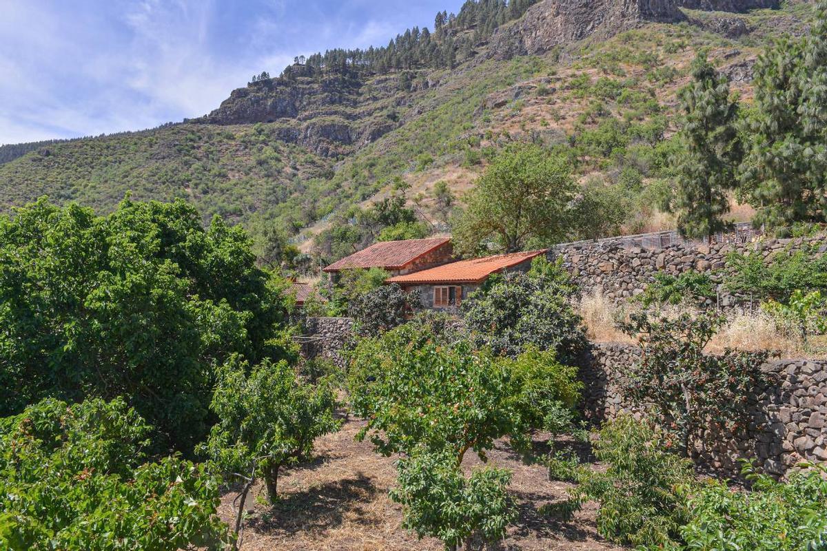 Juan Santana, El Ferruz, Valsequillo Almendros.