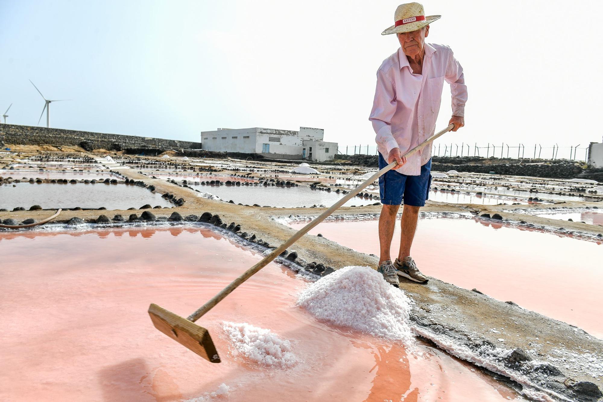 Salinas de Vargas