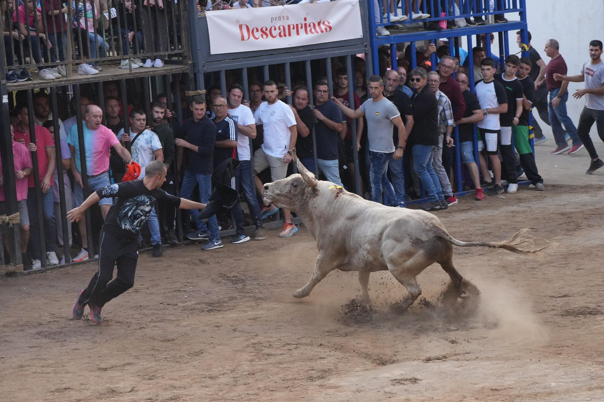 Galería de fotos de la última tarde de toros de la Fira en Onda