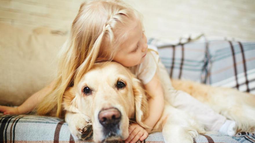 El cariño entre los niños y los perros.