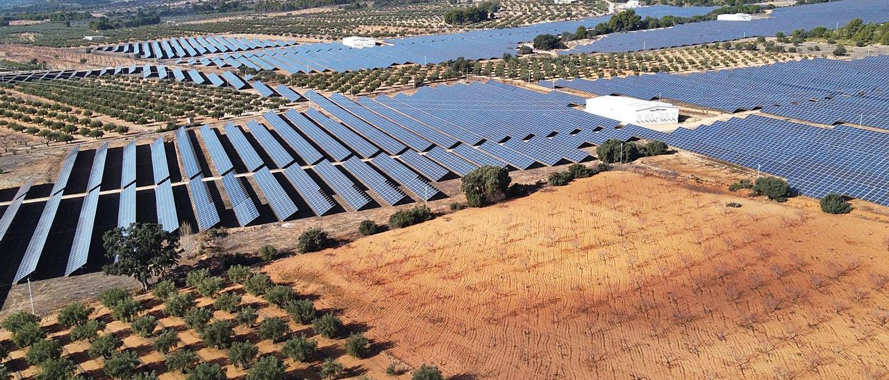 Una de las plantas solares instaladas entre las fincas de olivos de la comarca del Alto Vinalopó, de la que Villena es cabecera. |