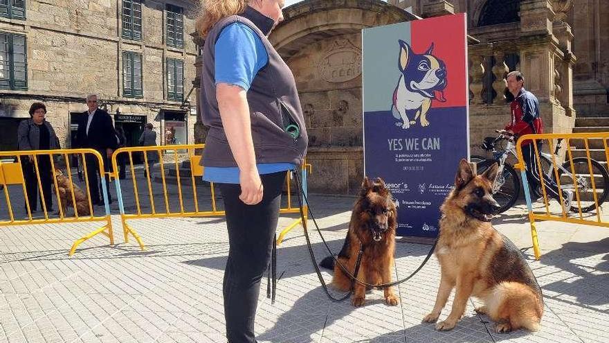 Sesión de adiestramiento canino dentro de la campaña &quot;Yes, we can&quot;.  // Rafa Vázquez