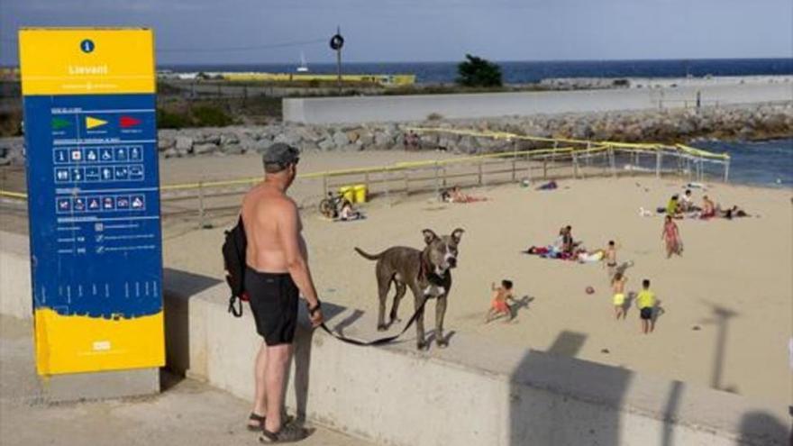 El mapa de las playas caninas que admiten perros este verano en España y Portugal