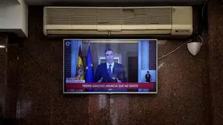 Pedro Sánchez: "Me van a permitir un agradecimiento especial a mi querido Partido Socialista"