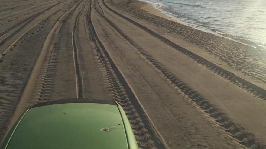 Un tractor fent les tasques a la platja.