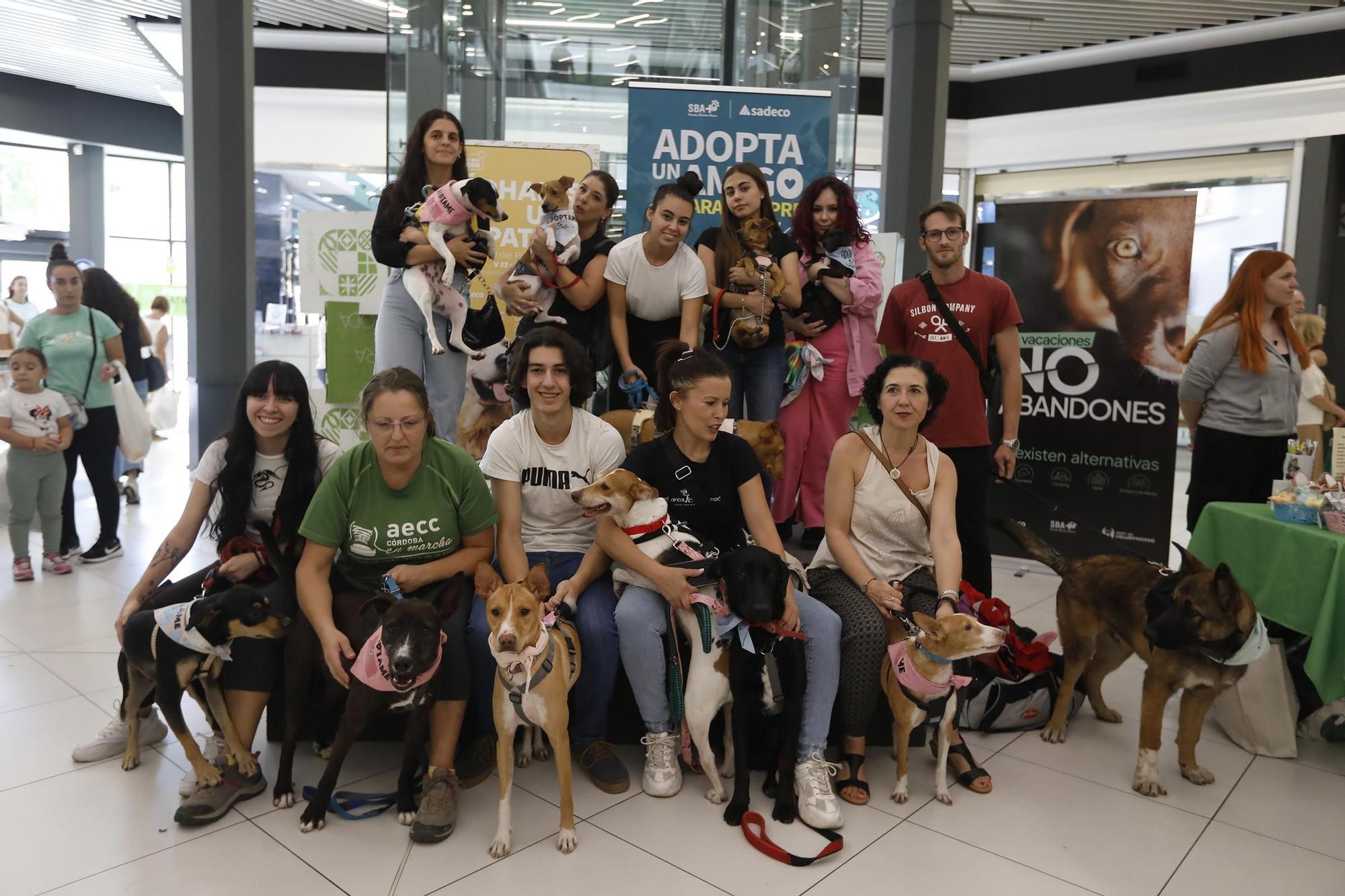 Las imágenes del desfile de perros en adopción en el Centro Comercial La Sierra