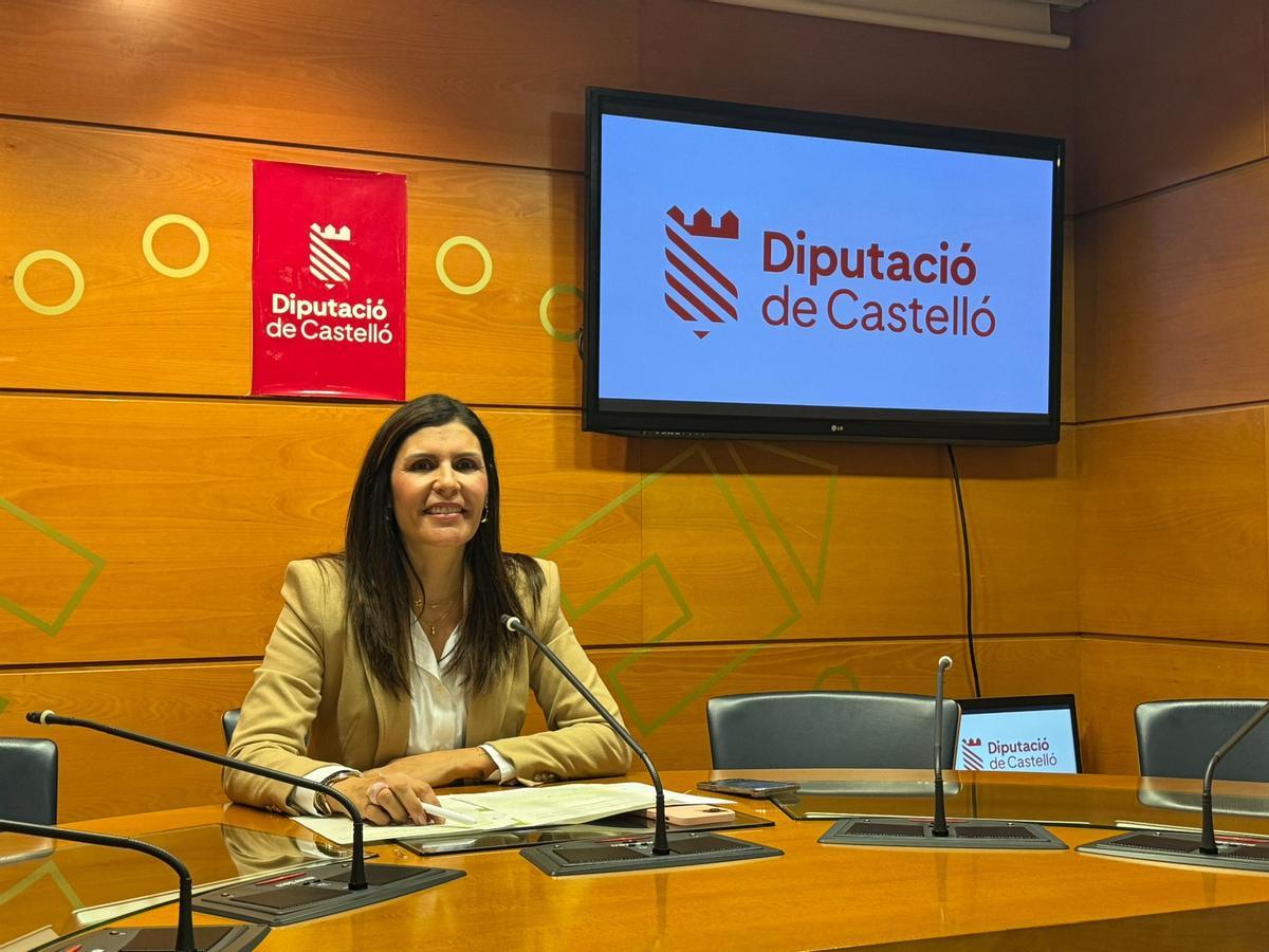 La vicepresidenta y responsable del área económica de la Diputación, Mª Ángeles Pallarés.