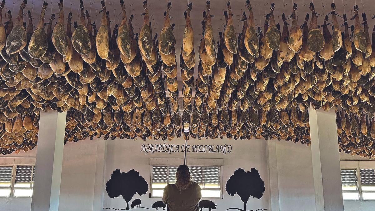 Bodega de curación de jamones ibéricos de la firma Agroibérica de Pozoblanco.