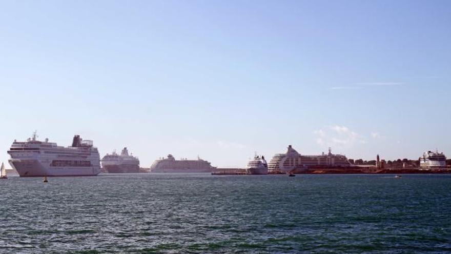 Herbstlicher Hochbetrieb im Hafen von Palma am Sonntag (11.11.).