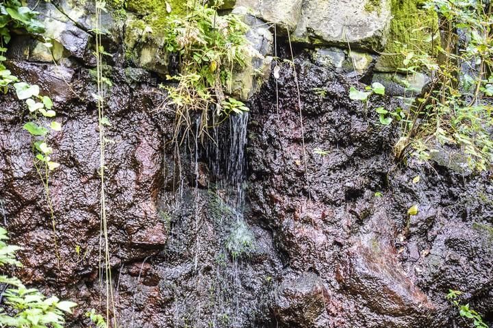 NACIENTES DE AGUA EN EL BARRANCO DE LA VIRGEN