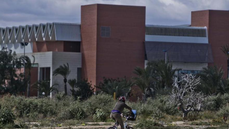 La UMH pretende abrir el próximo curso  su esperada sede universitaria en el centro