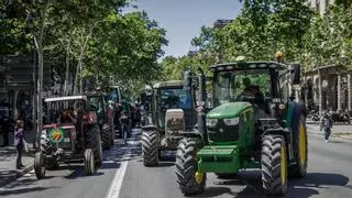 Los posibles cortes en las carreteras este lunes por las manifestaciones de agricultores de España y Francia