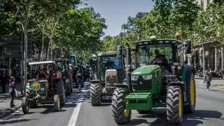 El Congreso acepta volver a cambiar la ley de la cadena alimentaria a propuesta de ERC