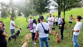 El BNG de Vigo se opone al modelo de parques caninos del Concello: «Son currais para cans e crearán un problema onde non o había»