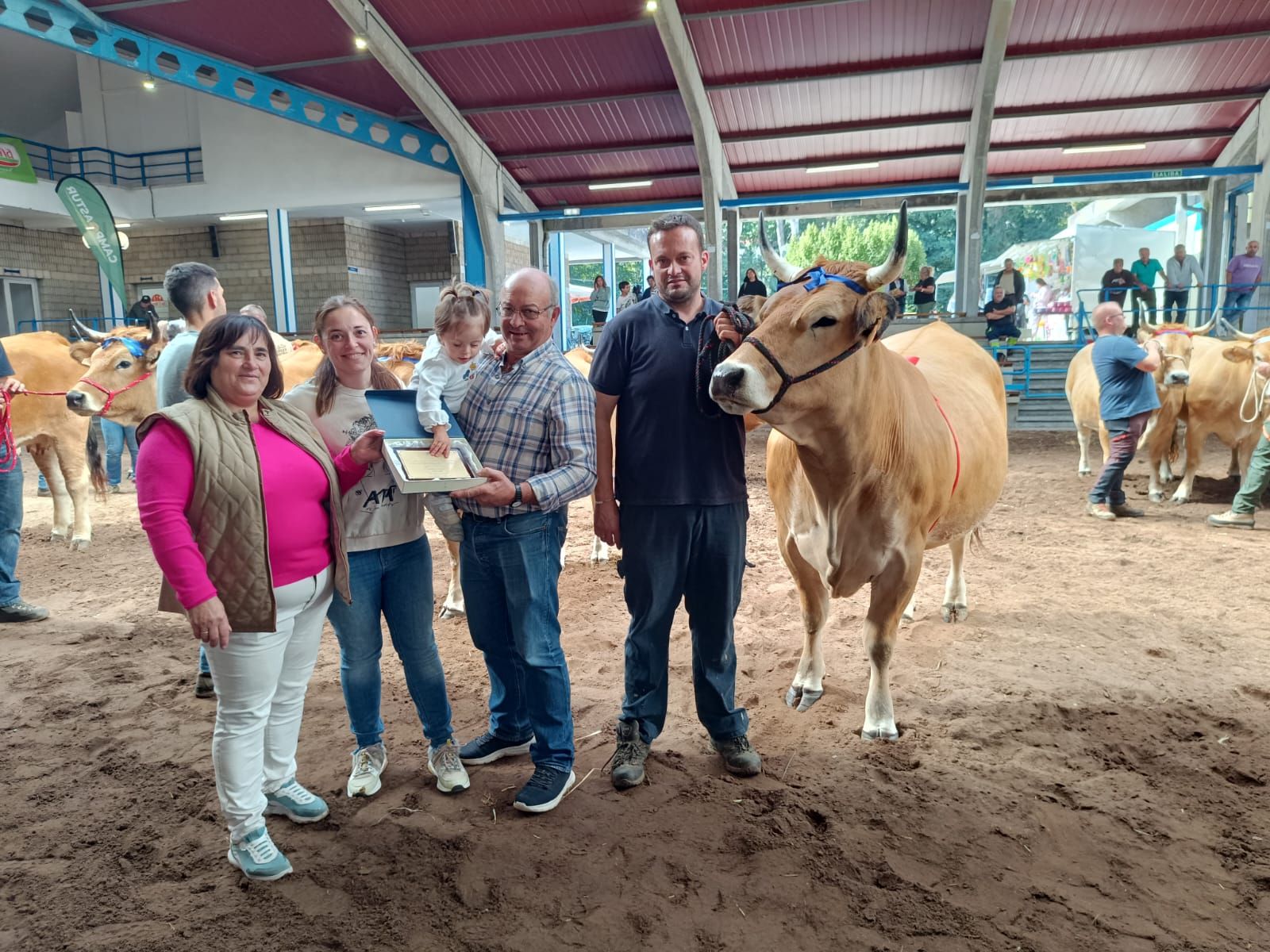 En imágenes: los premiados en la Muestra ganadera local de Cangas del Narcea