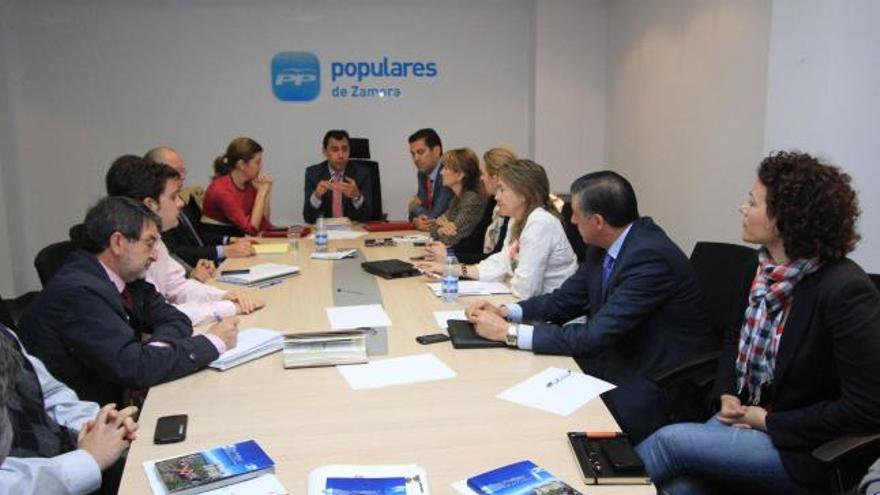 Comité de Dirección del Partido Popular de Zamora, reunido ayer bajo la presidencia de Fernando Martínez Maíllo.