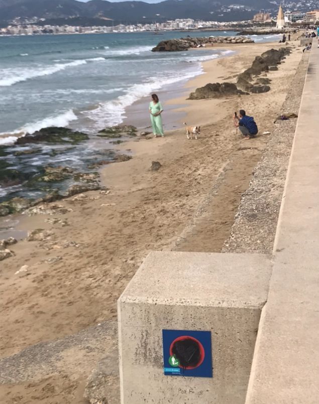 Un cartel informativo ilegible que alertaba sobre la prohibición de perros en esta zona de playa.