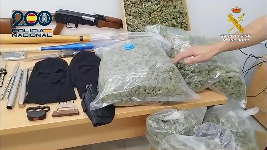 Más de mil plantas de marihuana intervenidas en Alcoy, Cocentaina y l'Alqueria d'Asnar
