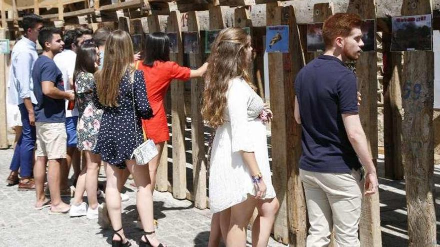 Varios jóvenes observan las fotografías expuestas en cada una de las tablas de la Plaza Mayor de Fermoselle.