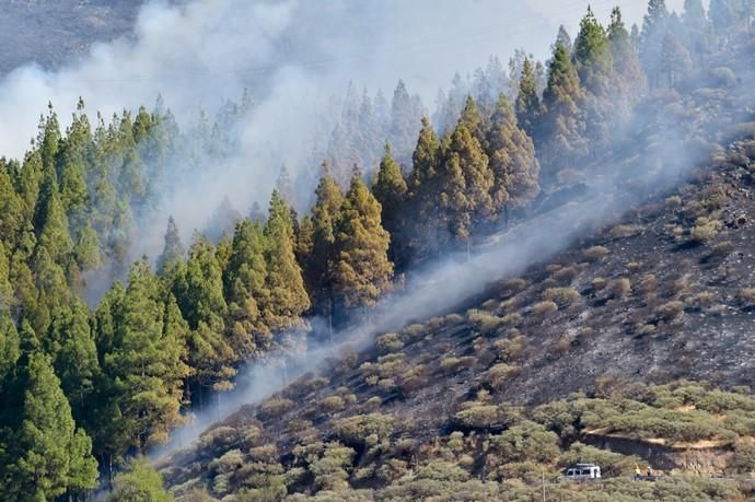 10-08-2019 ARTENARA. Incendio en la cumbre de Gran Canaria  | 10/08/2019 | Fotógrafo: Andrés Cruz