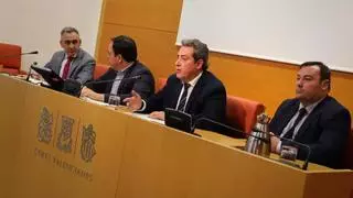 Historiadores de tres universidades valencianas cargan contra la la ley de concordia por su "falsa equiparación entre dictadura y democracia"