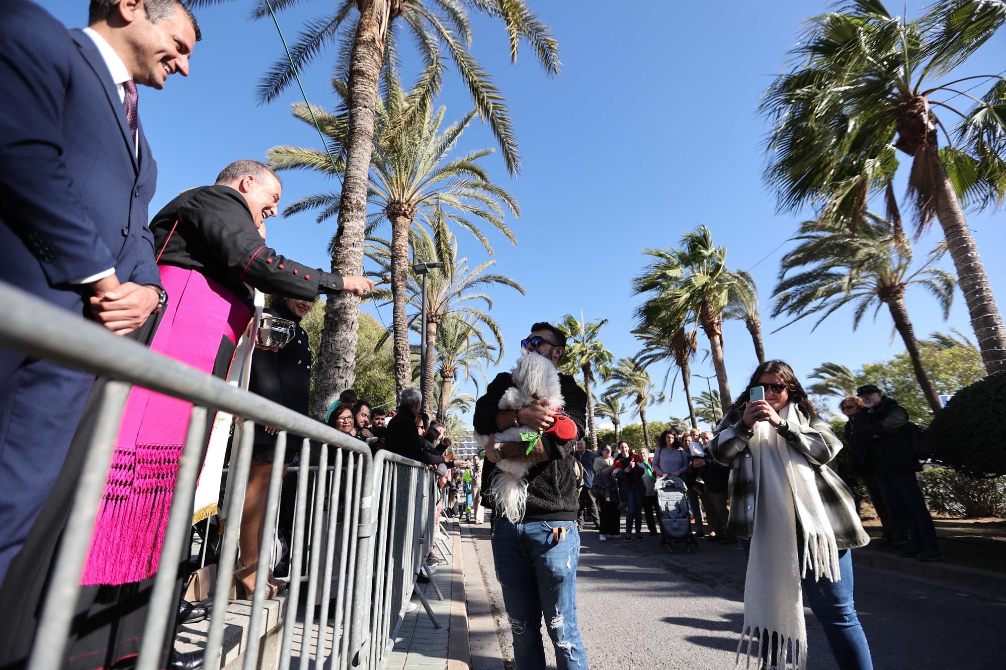 Todas las imágenes de la bendición de animales y el día grande de las fiestas de Sant Antoni