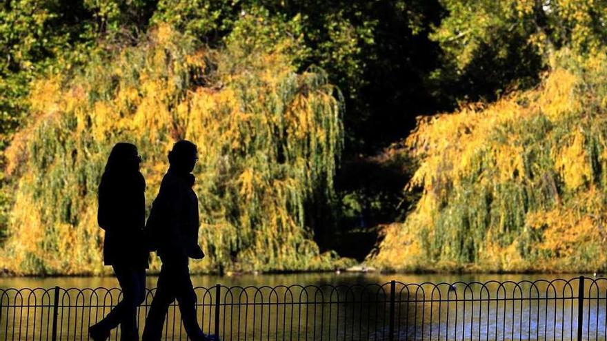 Una pareja pasea por un parque.