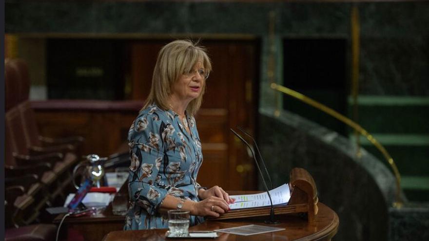 Elvira Velasco, durante su intervención en la sesión plenaria del Gobierno.