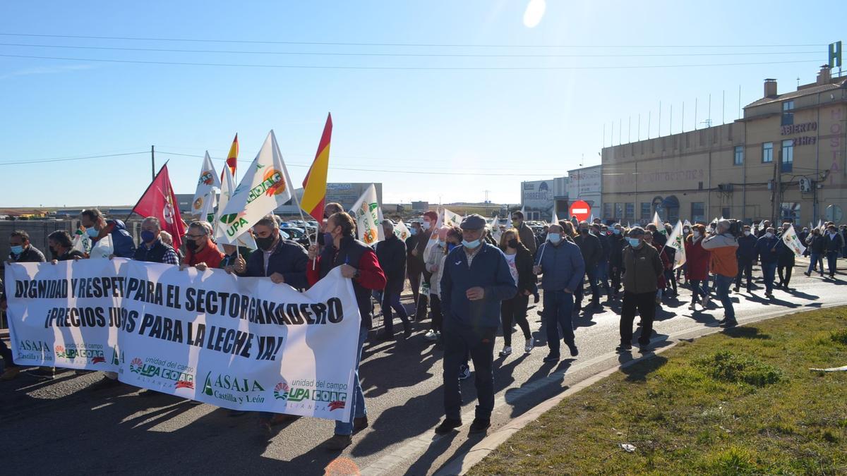 Concentración de ganaderos de leche, en Castrogonzalo. / E. P.